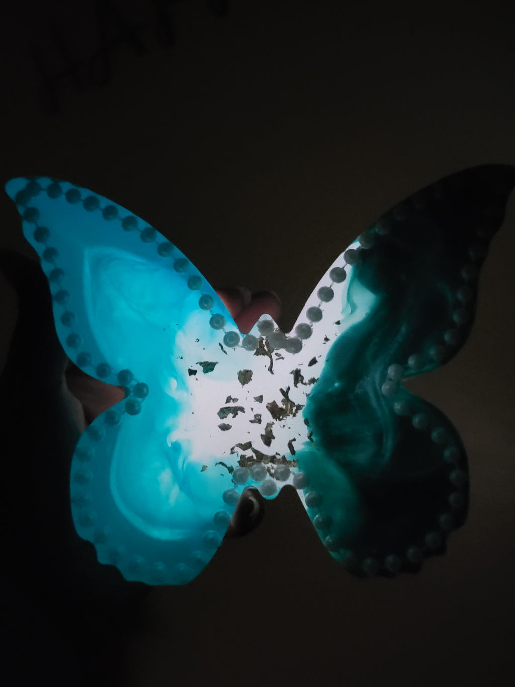 Beautiful Luminous Teal Butterfly