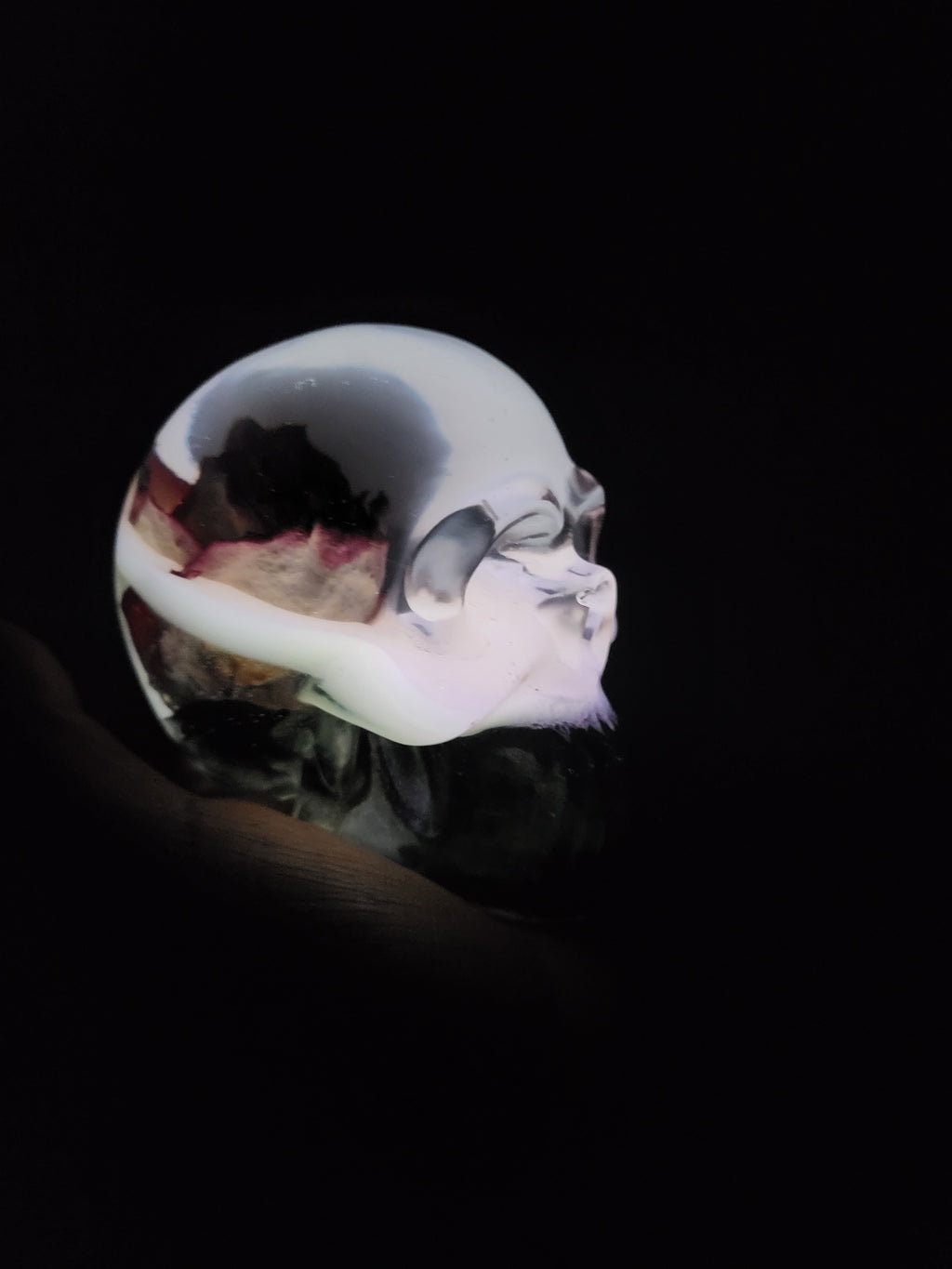 Resin Skull with Real Rose
