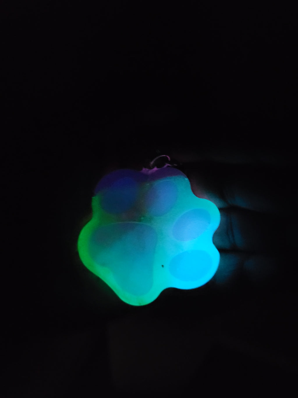 Glow-in-the-Dark Pawprint Keychain