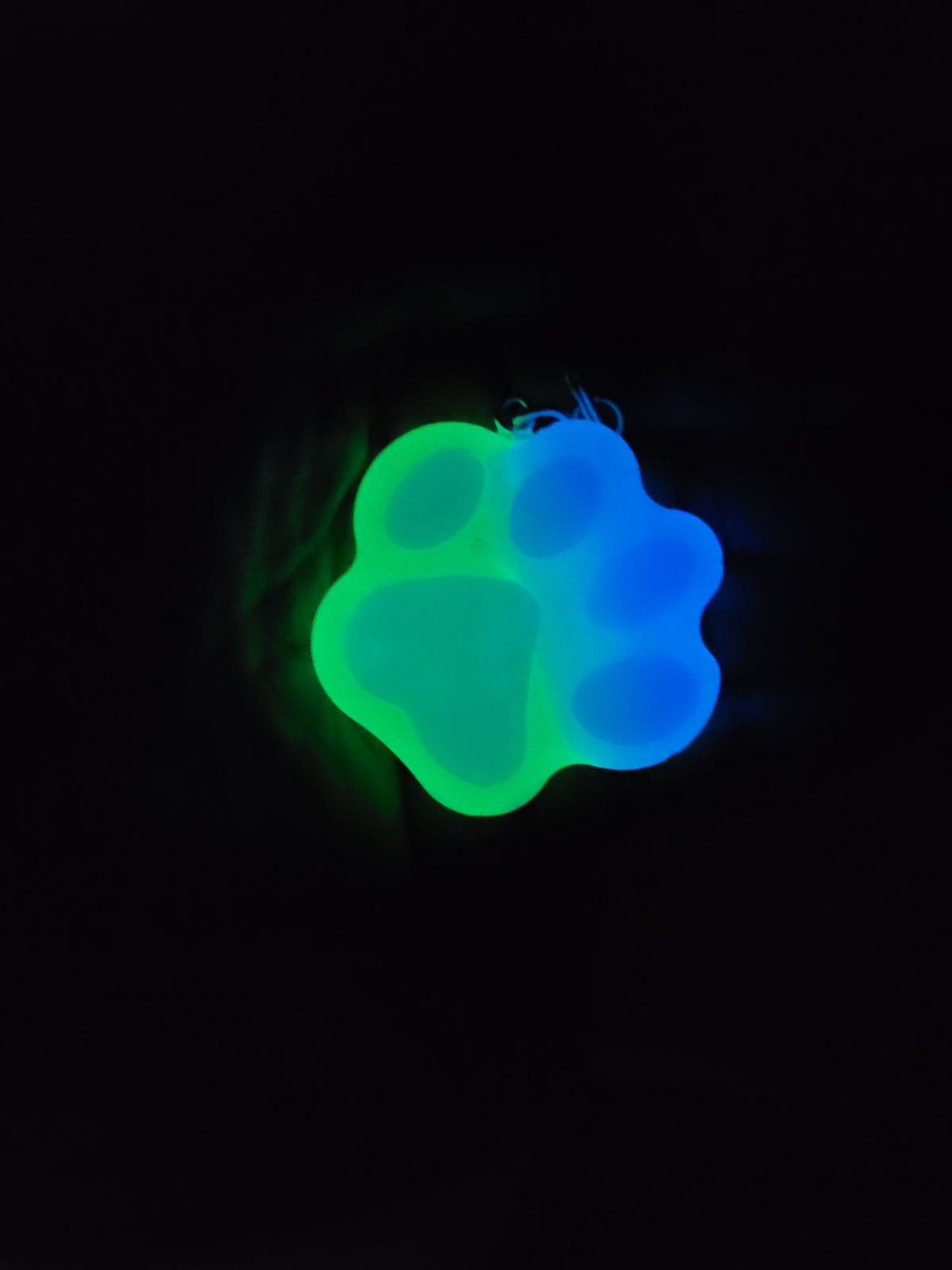 Glow-in-the-Dark Pawprint Keychain 4