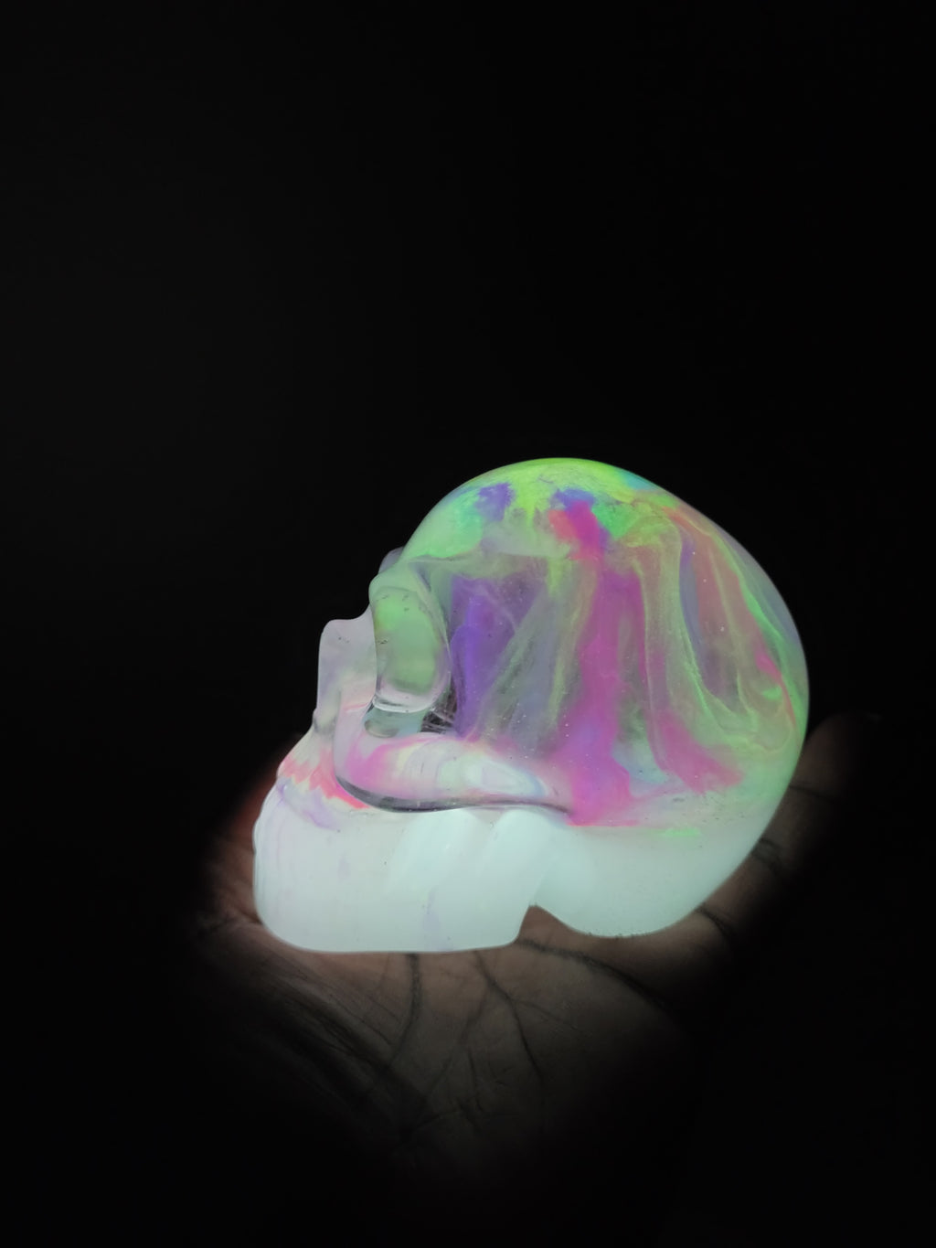 Jelly Brain