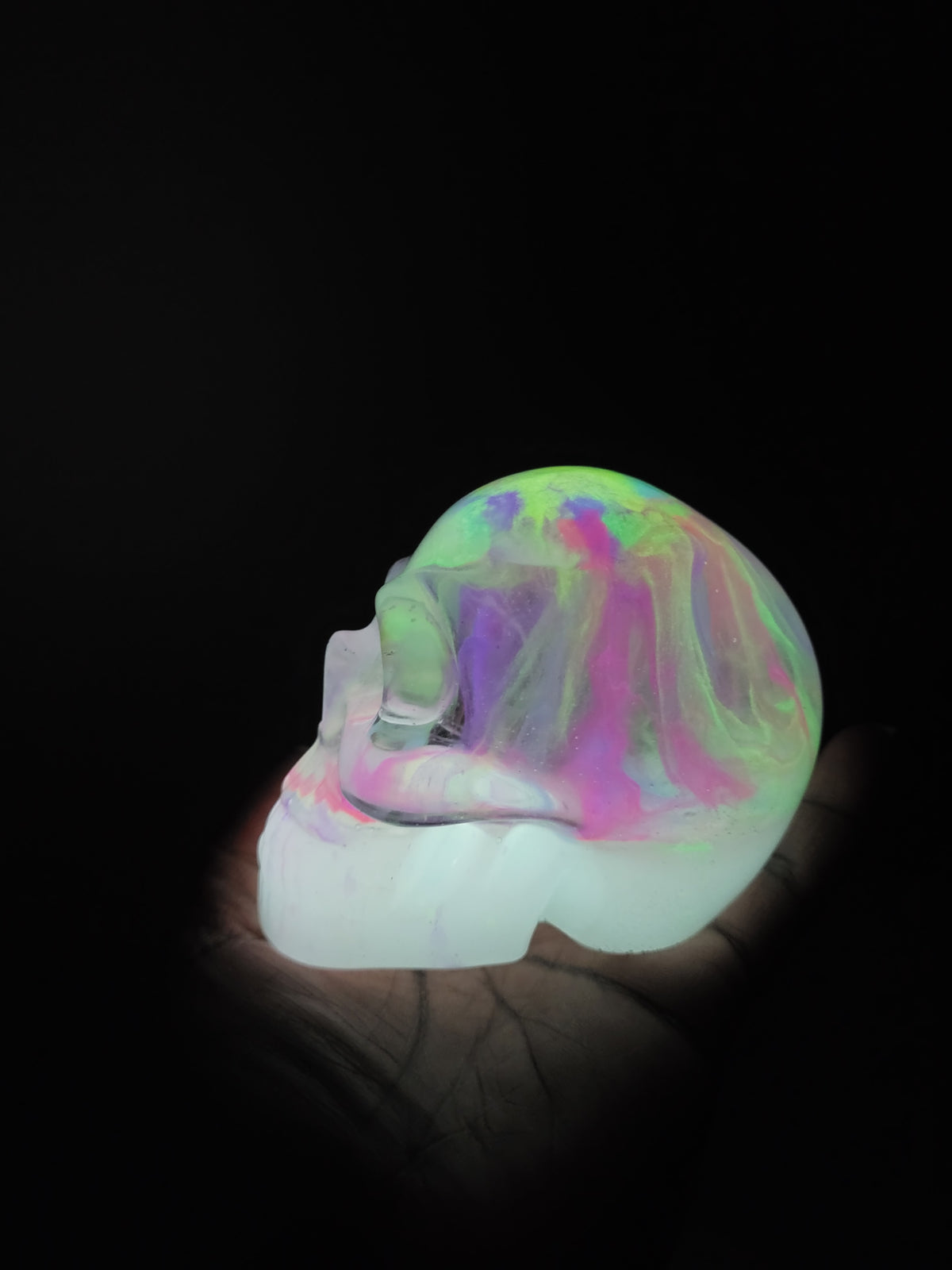 Jelly Brain