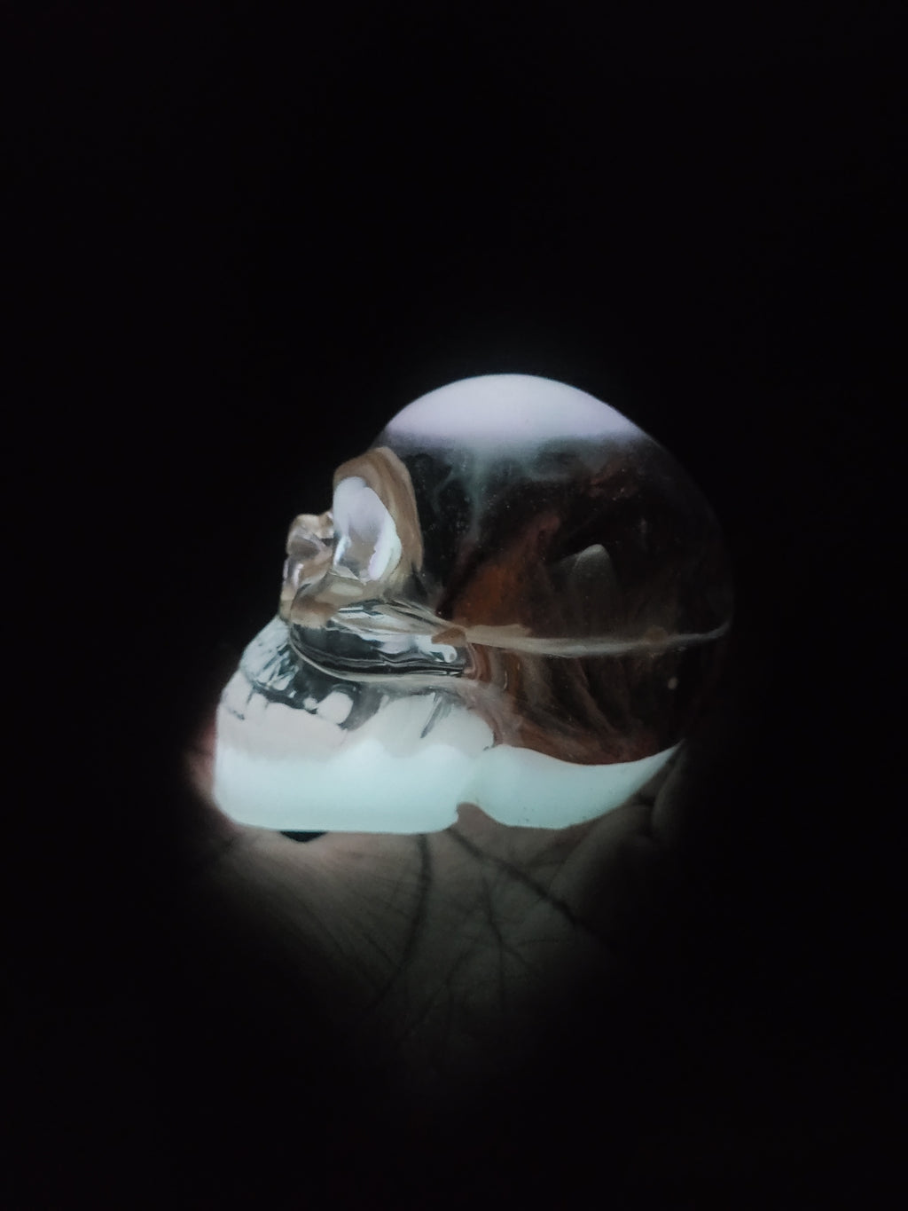 Lumimous Resin Skull with Real Rose