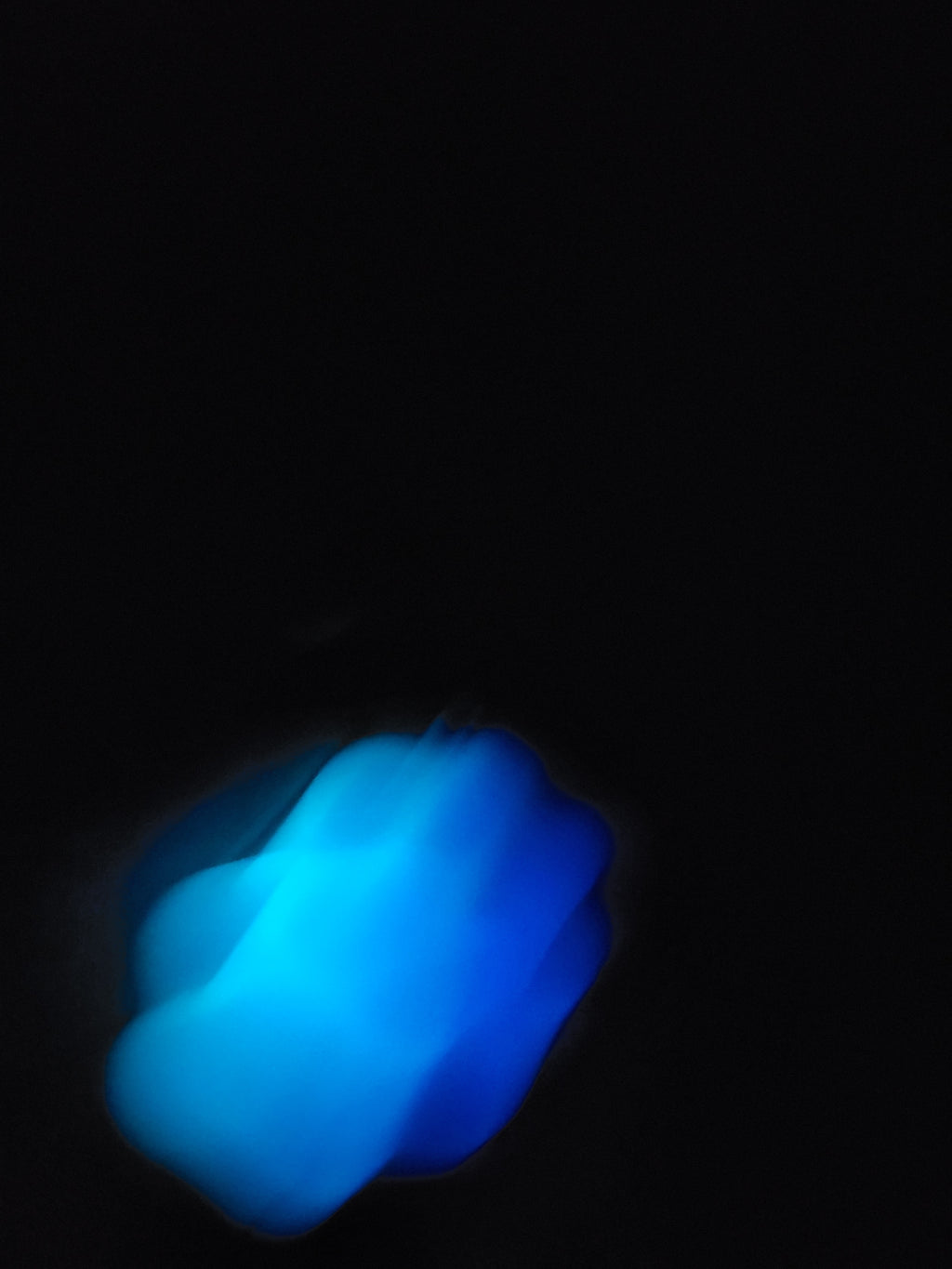 Glow-in-the-Dark Pawprint Keychain 2