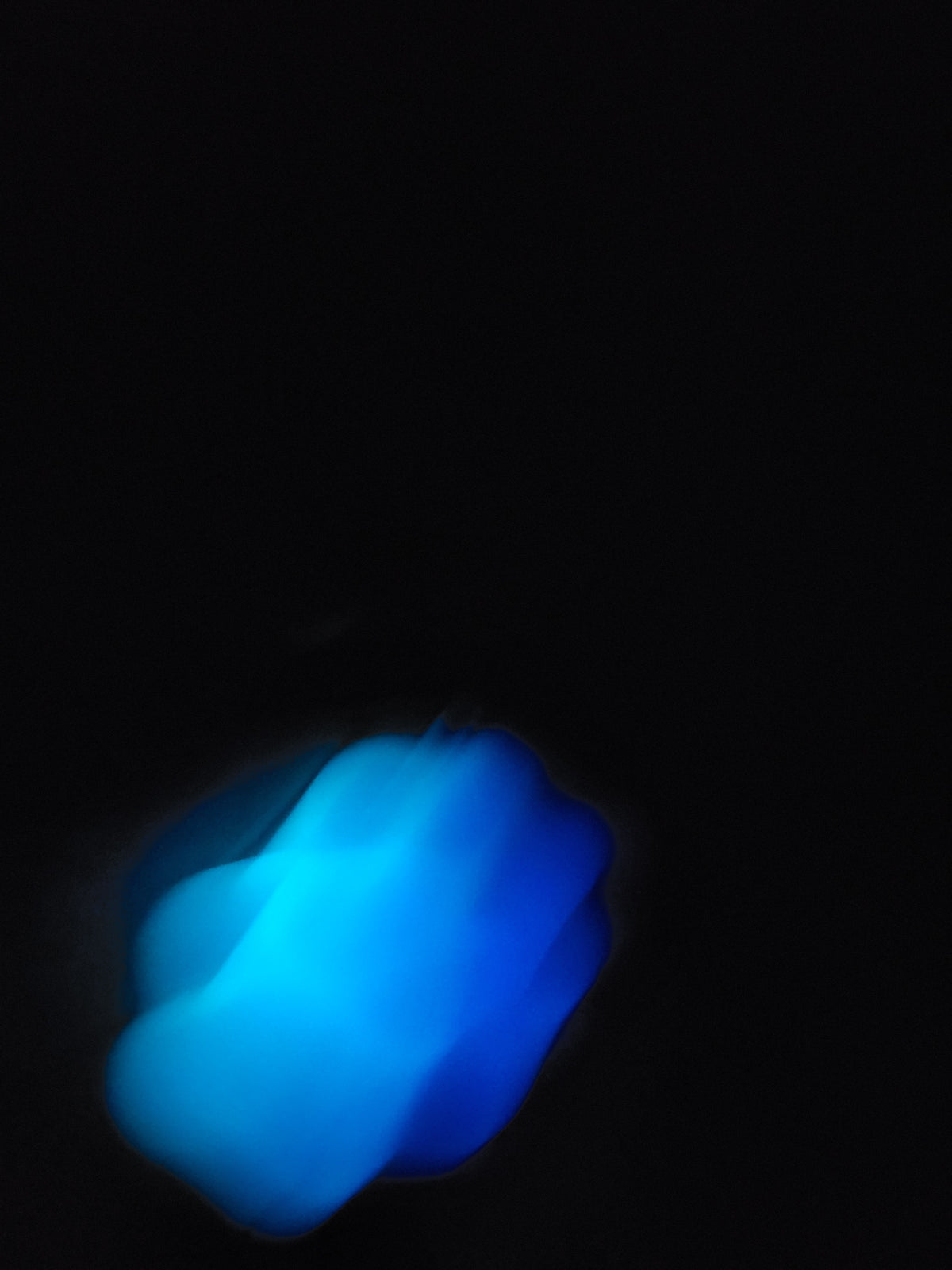 Glow-in-the-Dark Pawprint Keychain 2
