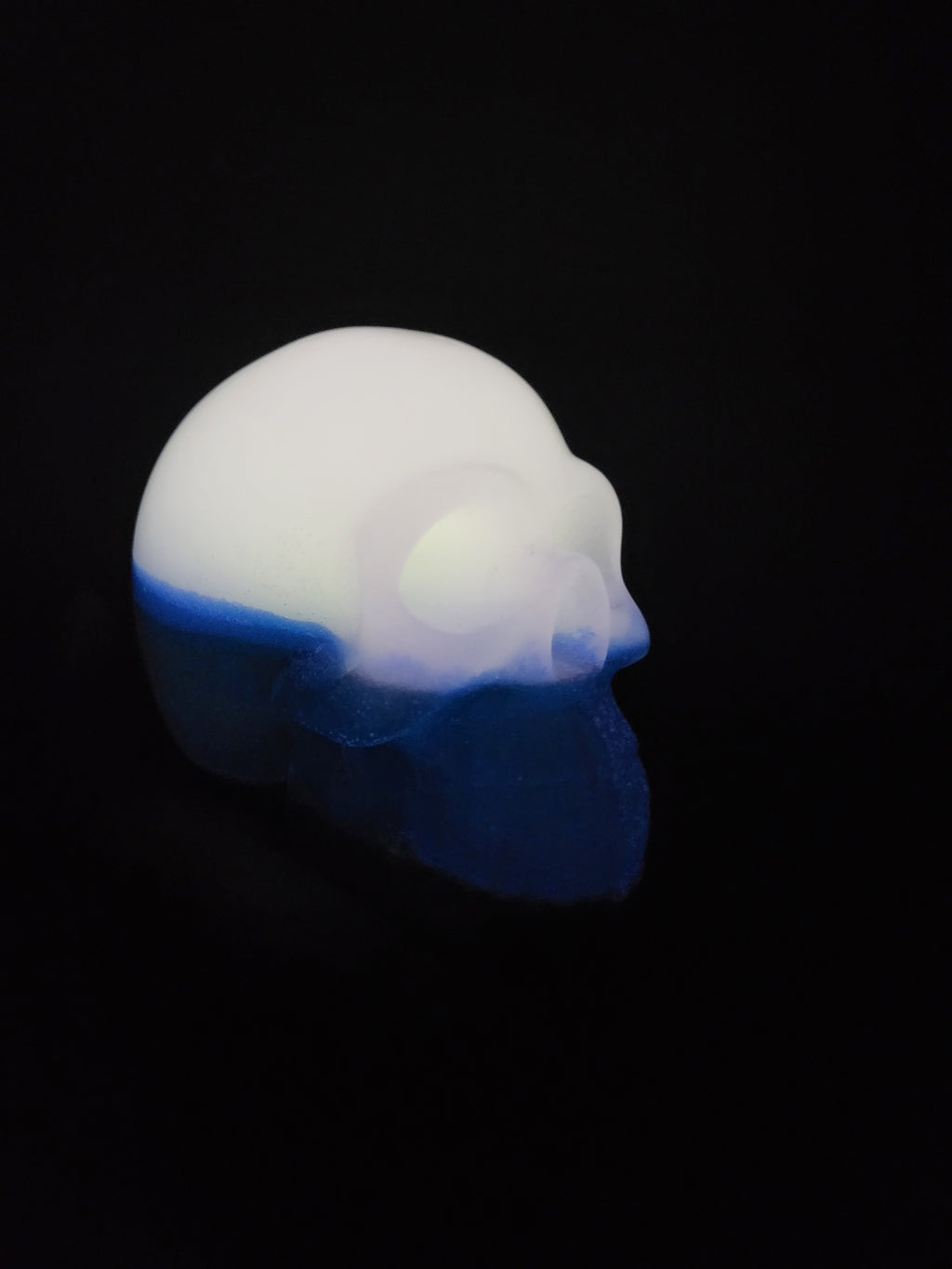 Glowing Skull Cobalt Blue and Gray