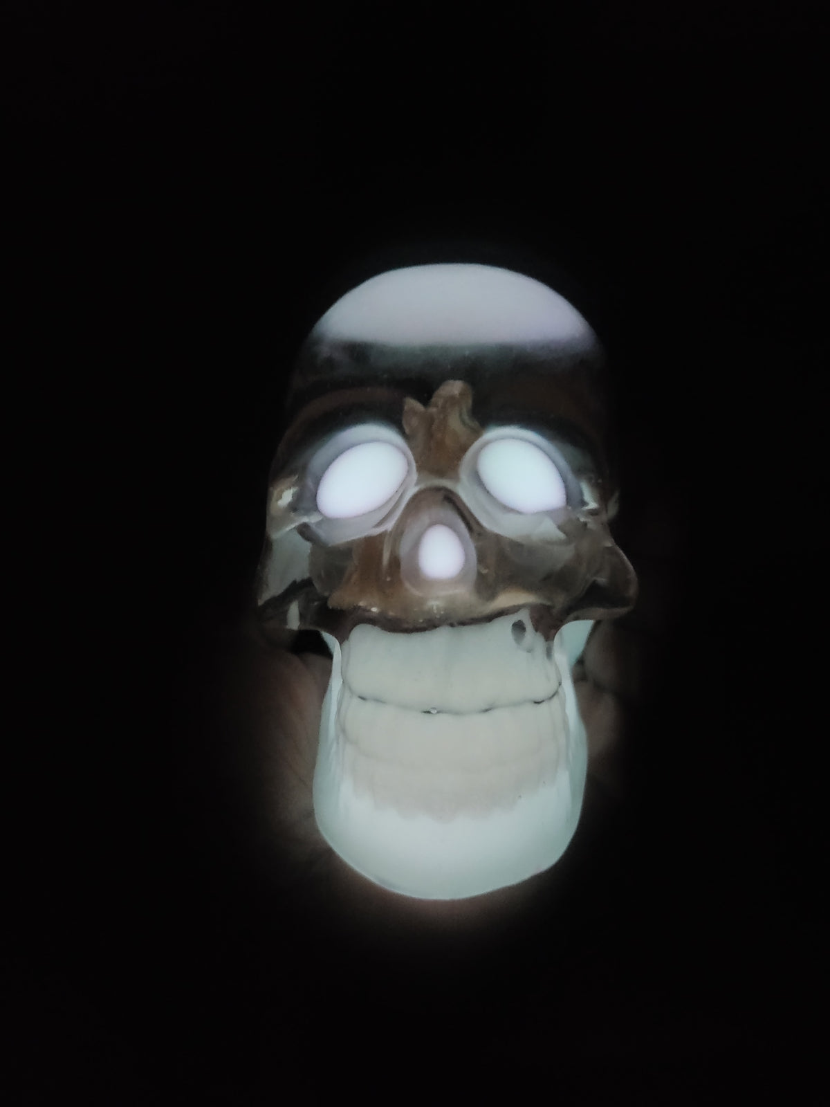 Lumimous Resin Skull with Real Rose