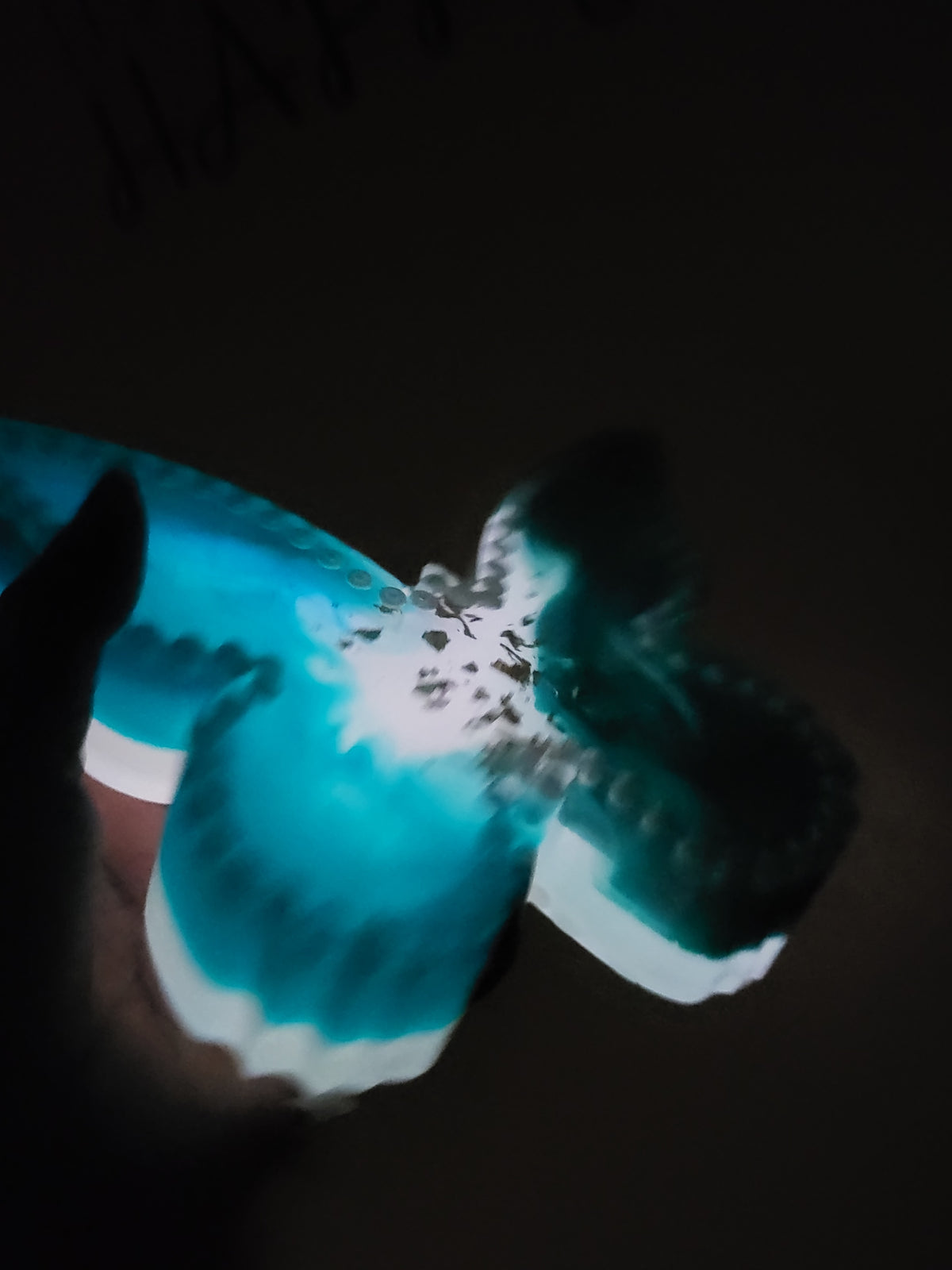 Beautiful Luminous Teal Butterfly