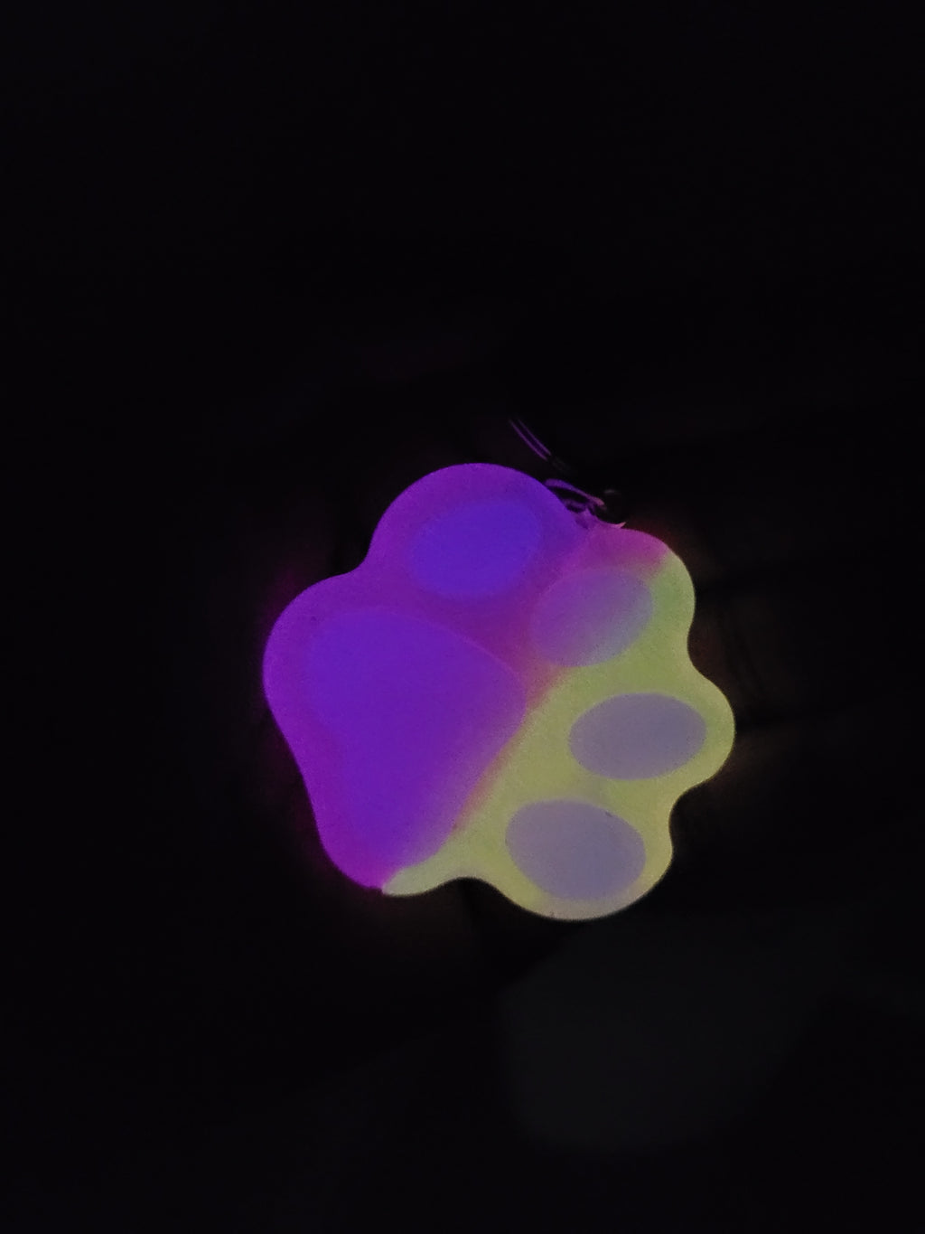 Glow-in-the-Dark Pawprint Keychain 3