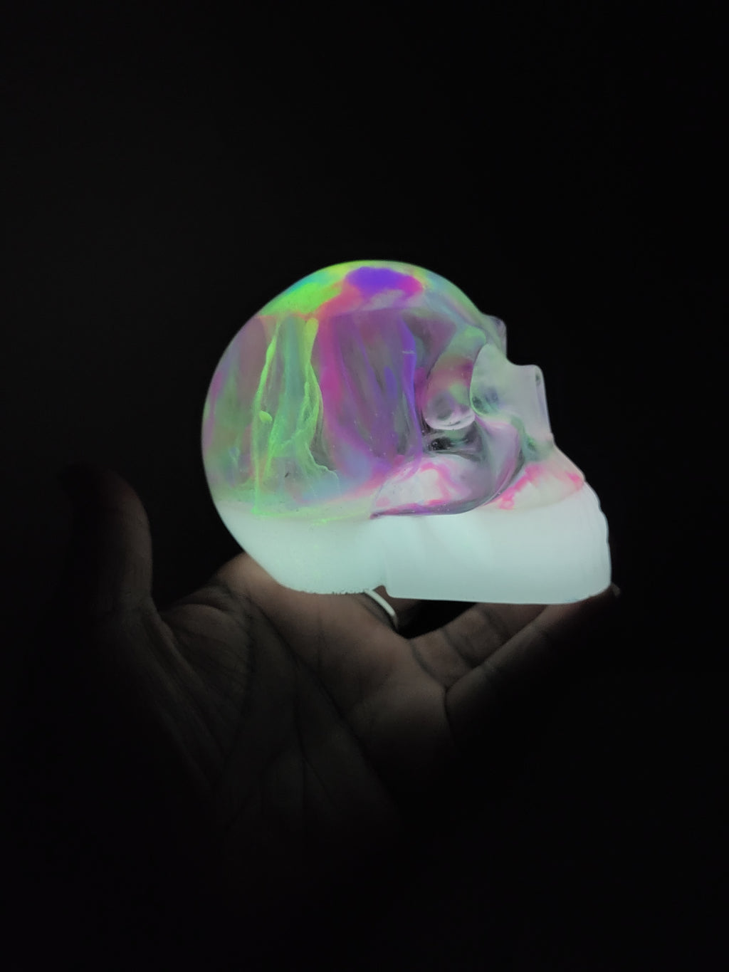 Jelly Brain