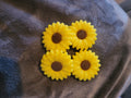 Yellow Flower