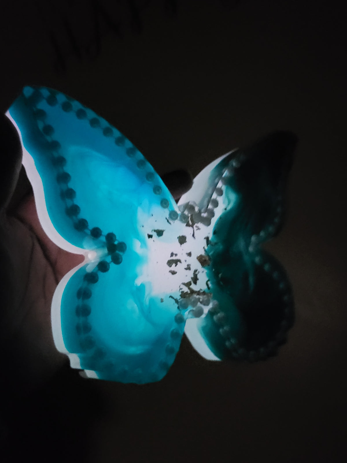 Beautiful Luminous Teal Butterfly